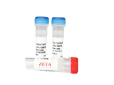 Sirius DNA Transfection Reagent P400025 P400150